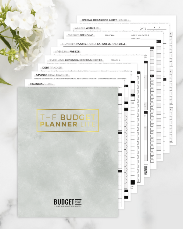 Budgeter Lite, how to track budgets Budgeter Lite, CSV import tutorial with recovery and rollback tips